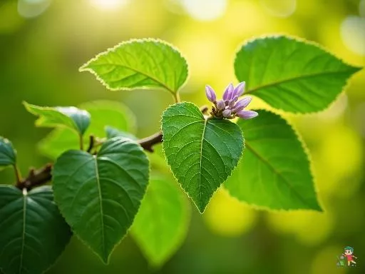 Paulownia : L’arbre à croissance rapide qui révolutionne la neutralité carbone