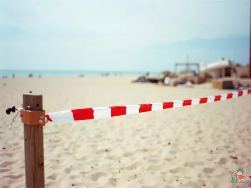 Plages fermées à Marseille : d'où viennent ces odeurs nauséabondes ?